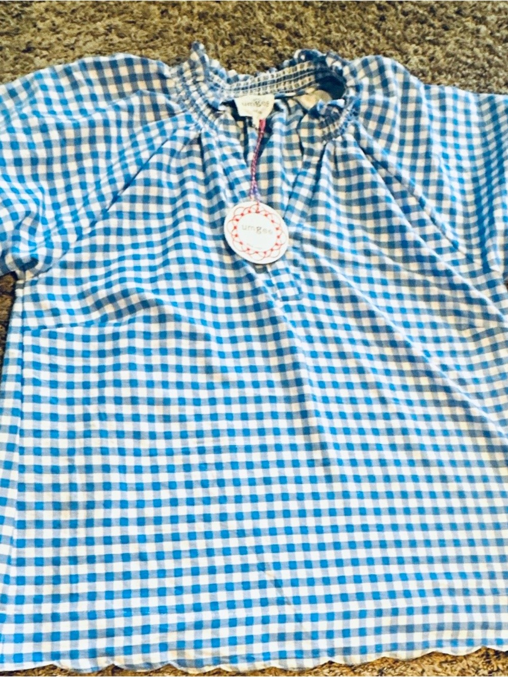Umgee Blue and White Gingham Ruffle Neck Blouse